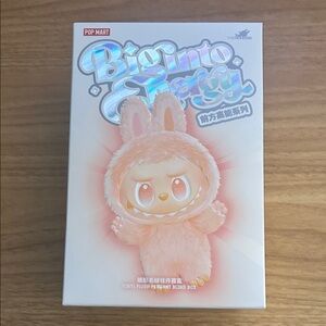 Unopened Labubu Blind Box